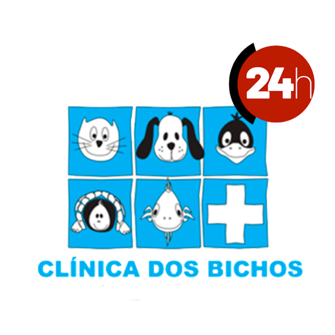 Design sem nome - 2024-12-16T174940.147